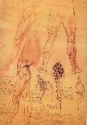 Muscles and bone of leg and Hufte, LEONARDO da Vinci